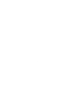 Vertical House Design